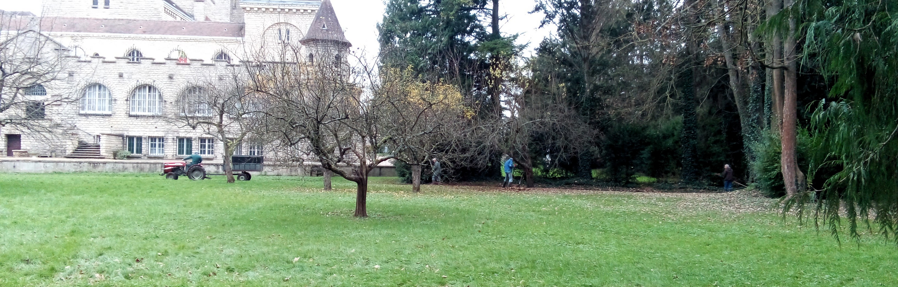 2024_12_11_journee_feuilles.jpg