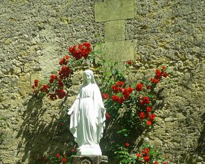 NDN fleurie 1 (1) recadrée.jpg