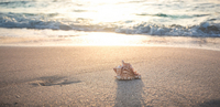 beach-4301479_1280.jpg